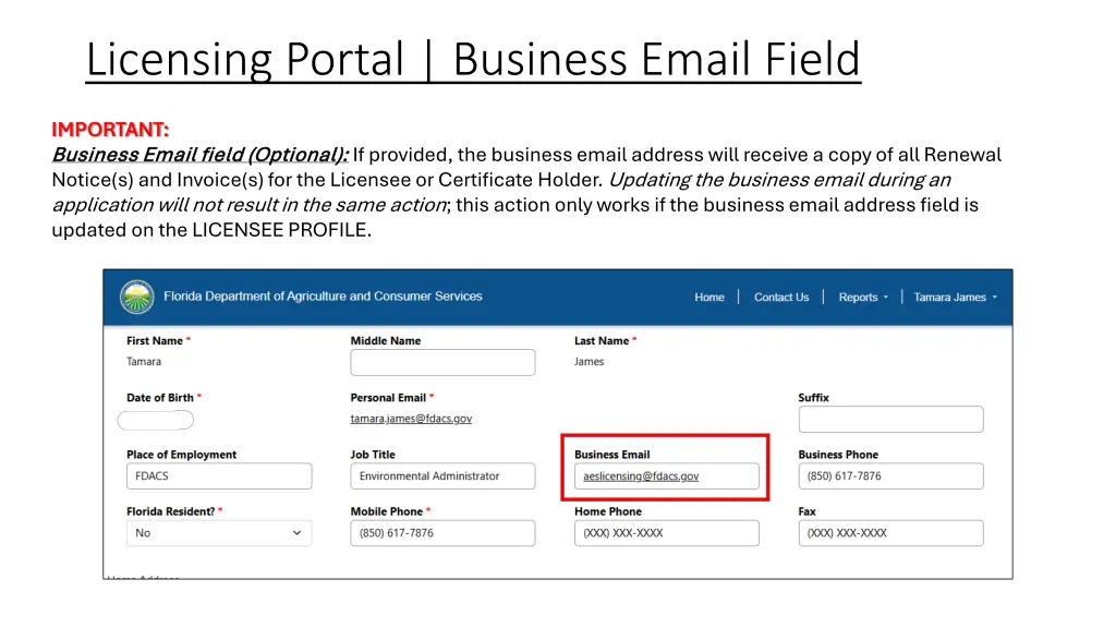licensing portal business email field