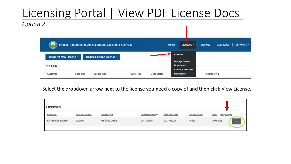 licensing portal view pdf license docs 1 option 2