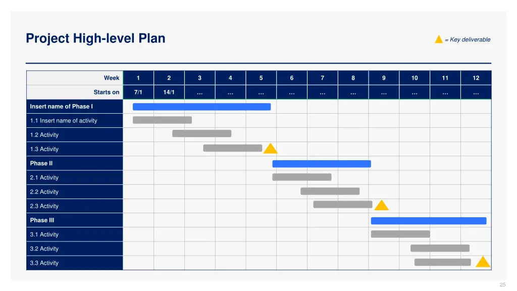 project high level plan
