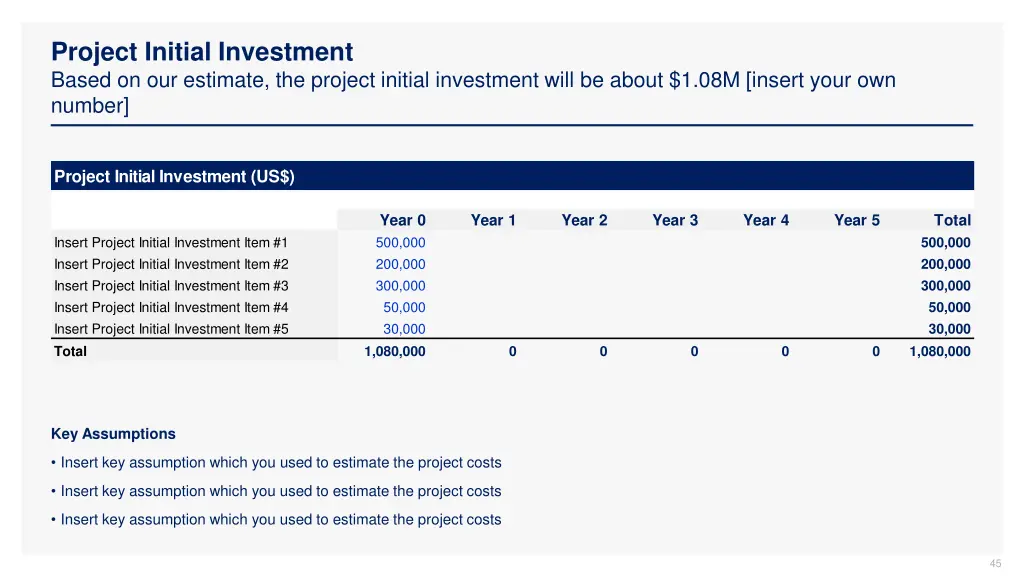 project initial investment based on our estimate