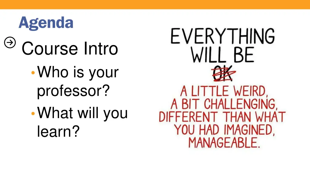 agenda course intro who is your professor what
