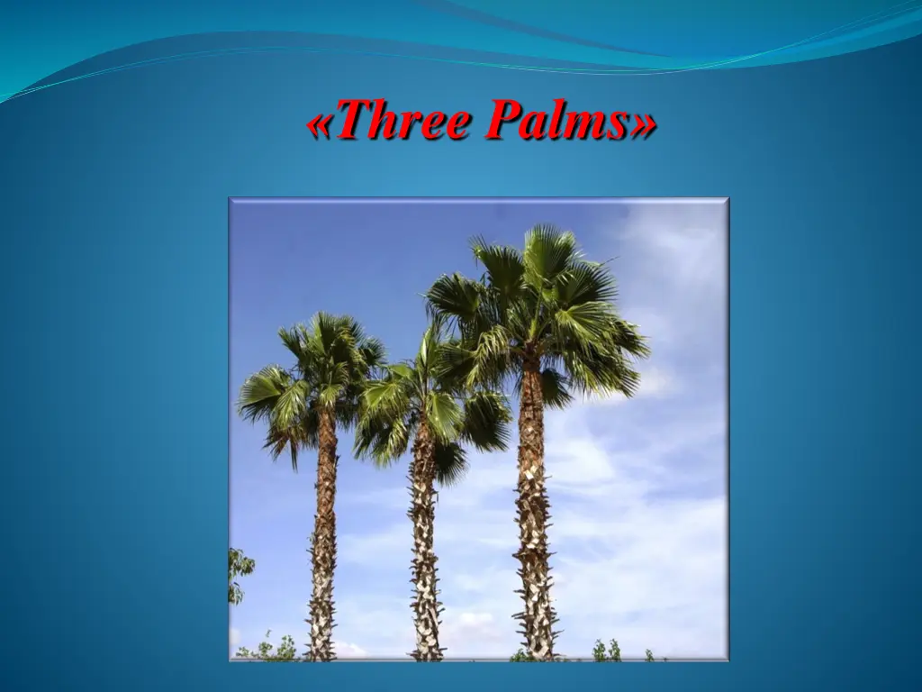 three palms