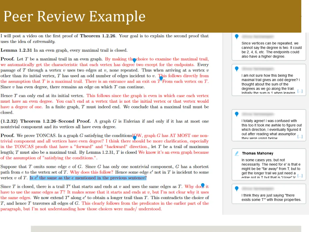 peer review example