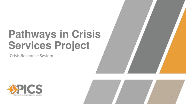 pathways in crisis services project