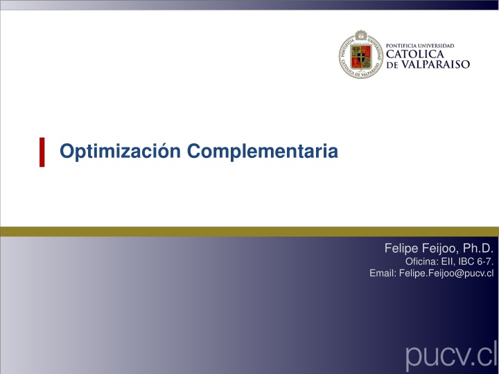 optimizaci n complementaria
