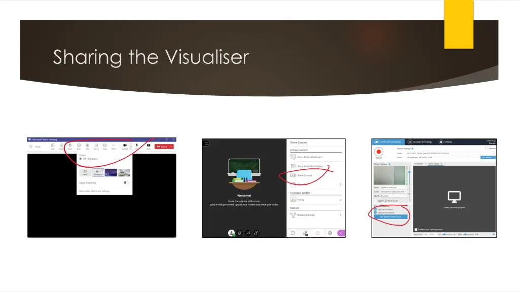 sharing the visualiser