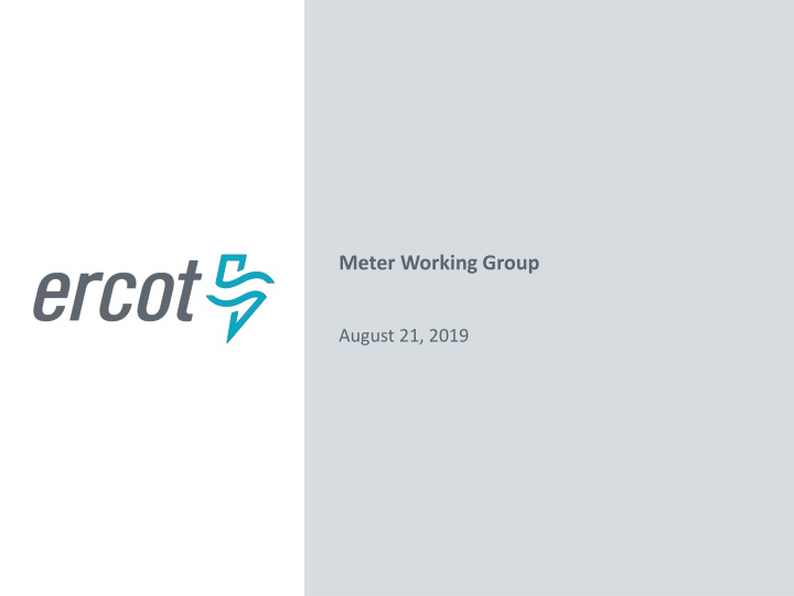 meter working group