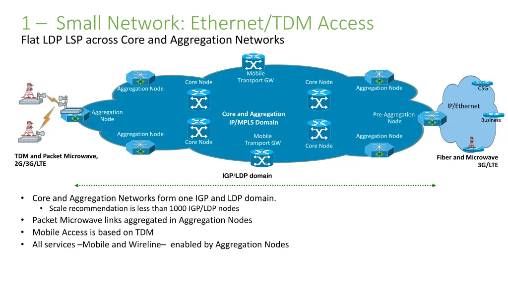 1 small network ethernet tdm access flat