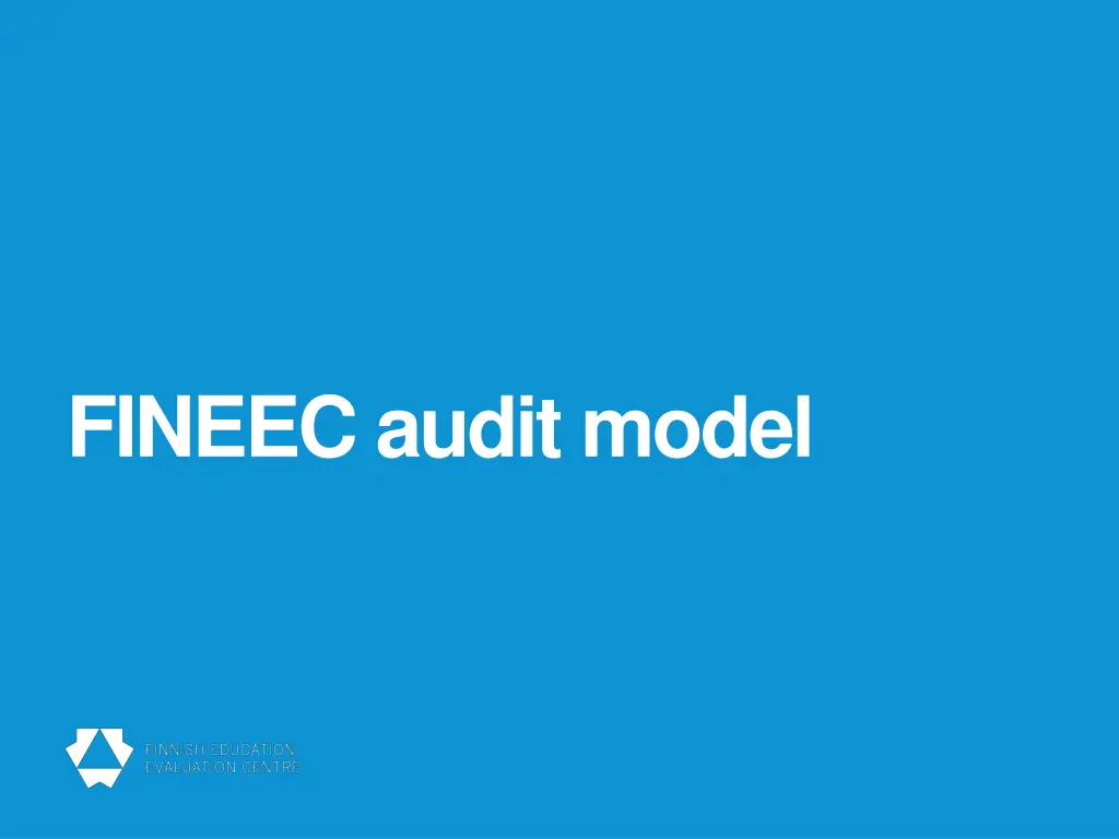fineec audit model