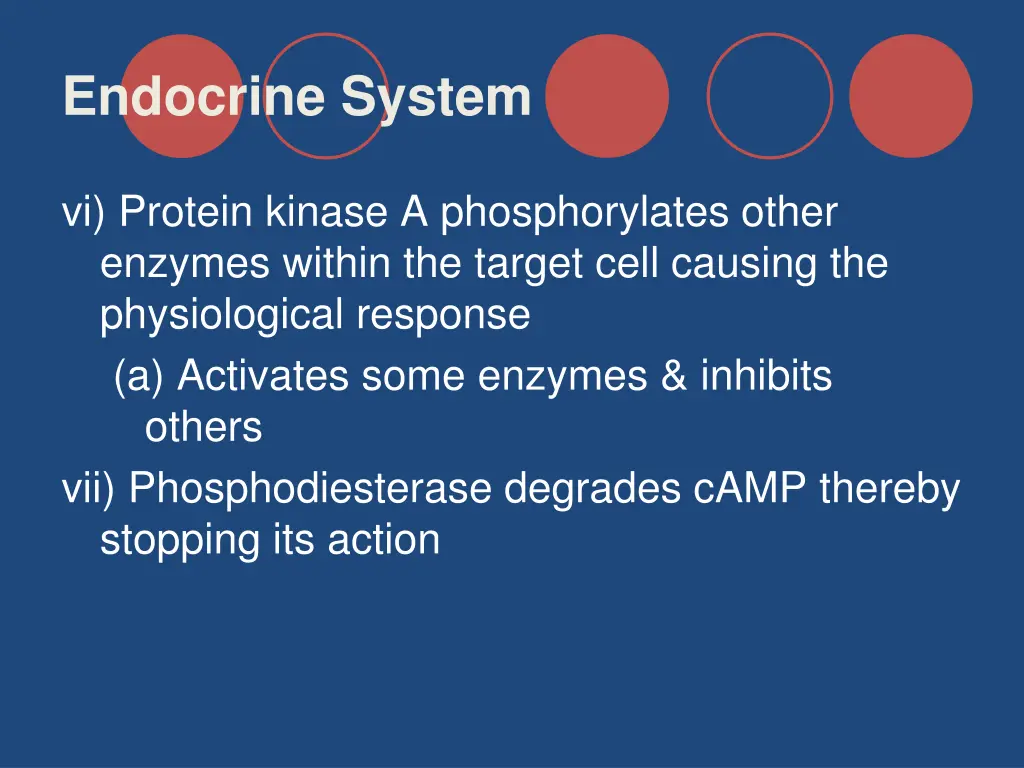 endocrine system 10