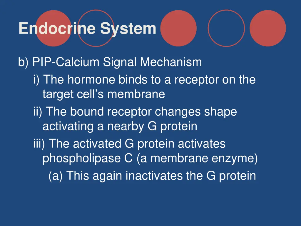 endocrine system 11