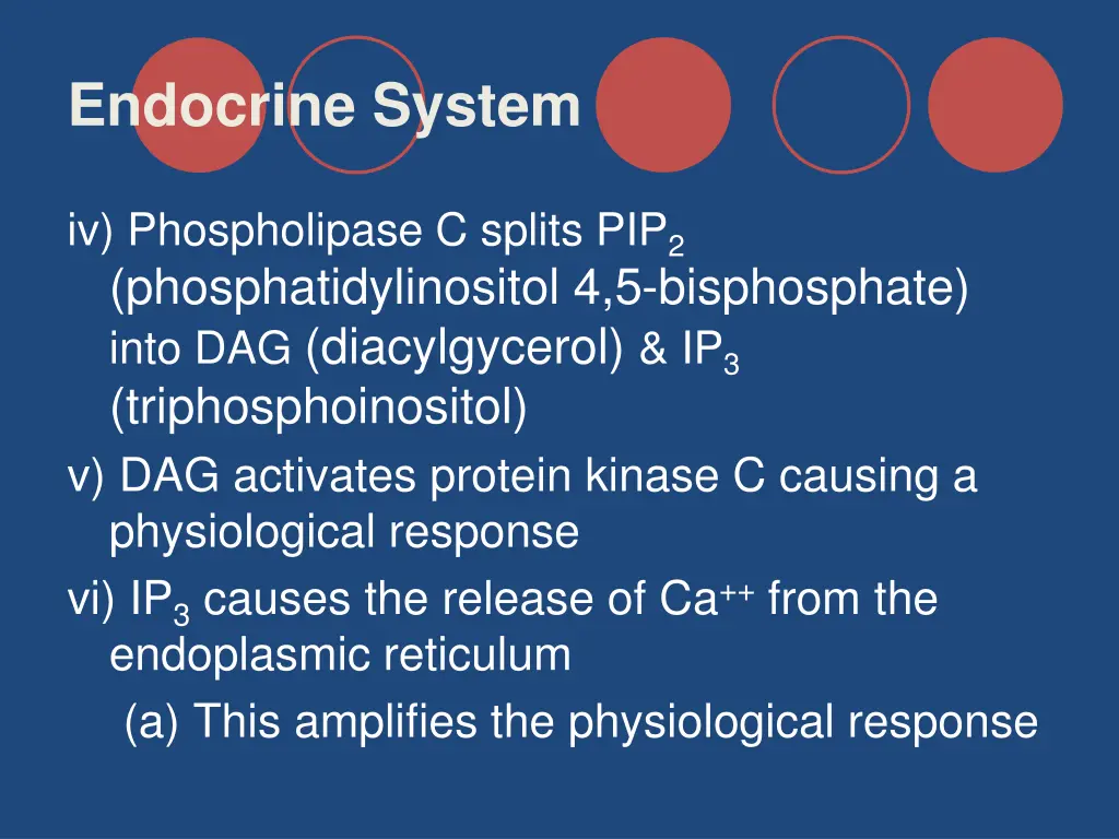 endocrine system 12