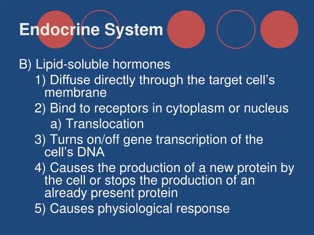 endocrine system 13