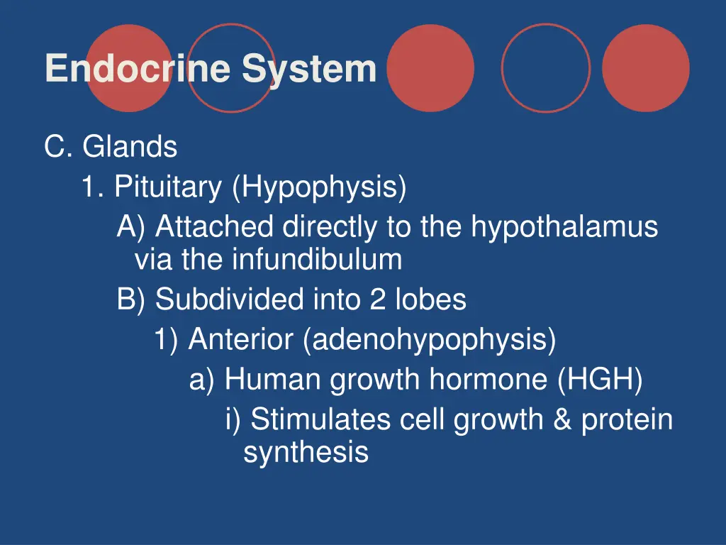 endocrine system 19