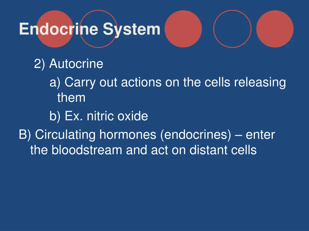endocrine system 2