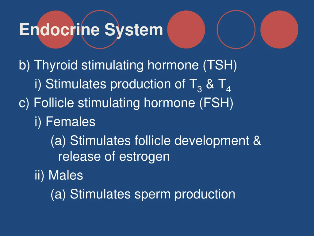 endocrine system 20