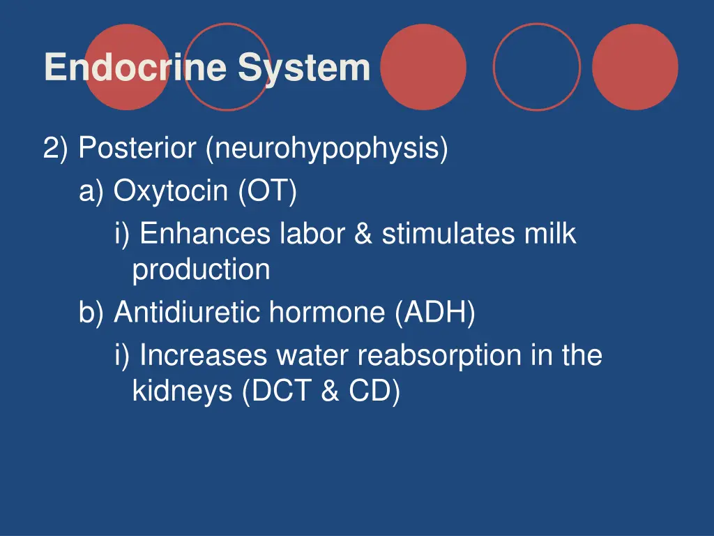 endocrine system 22
