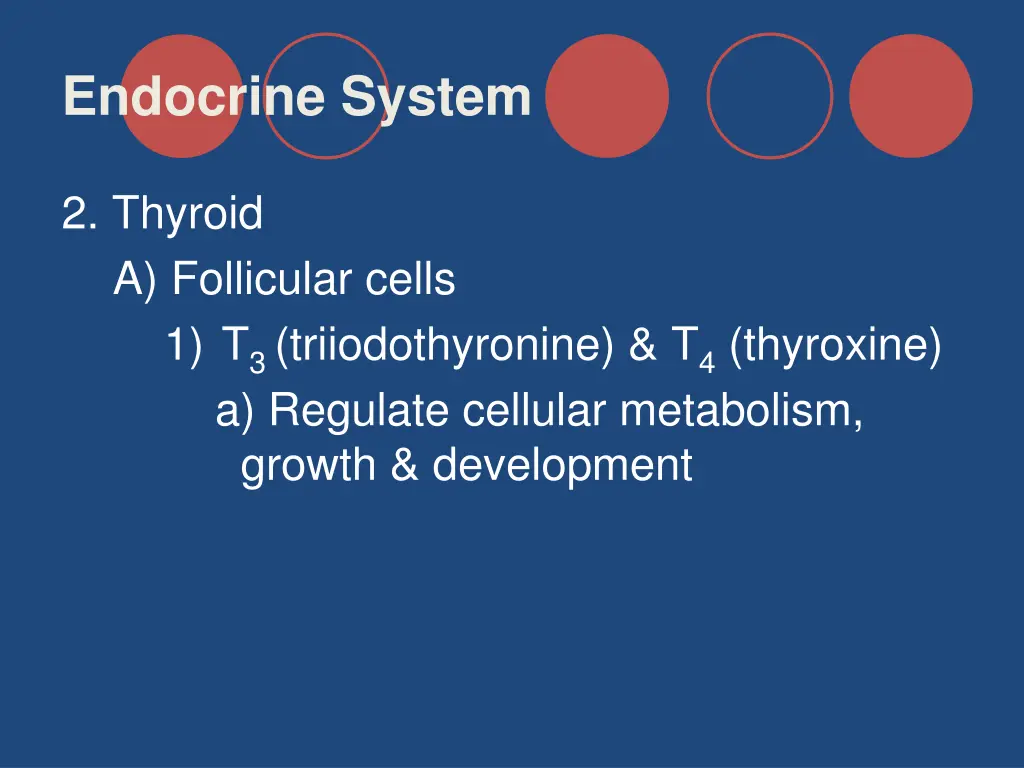 endocrine system 23