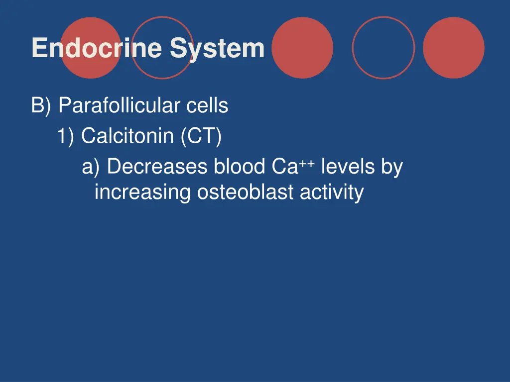 endocrine system 24