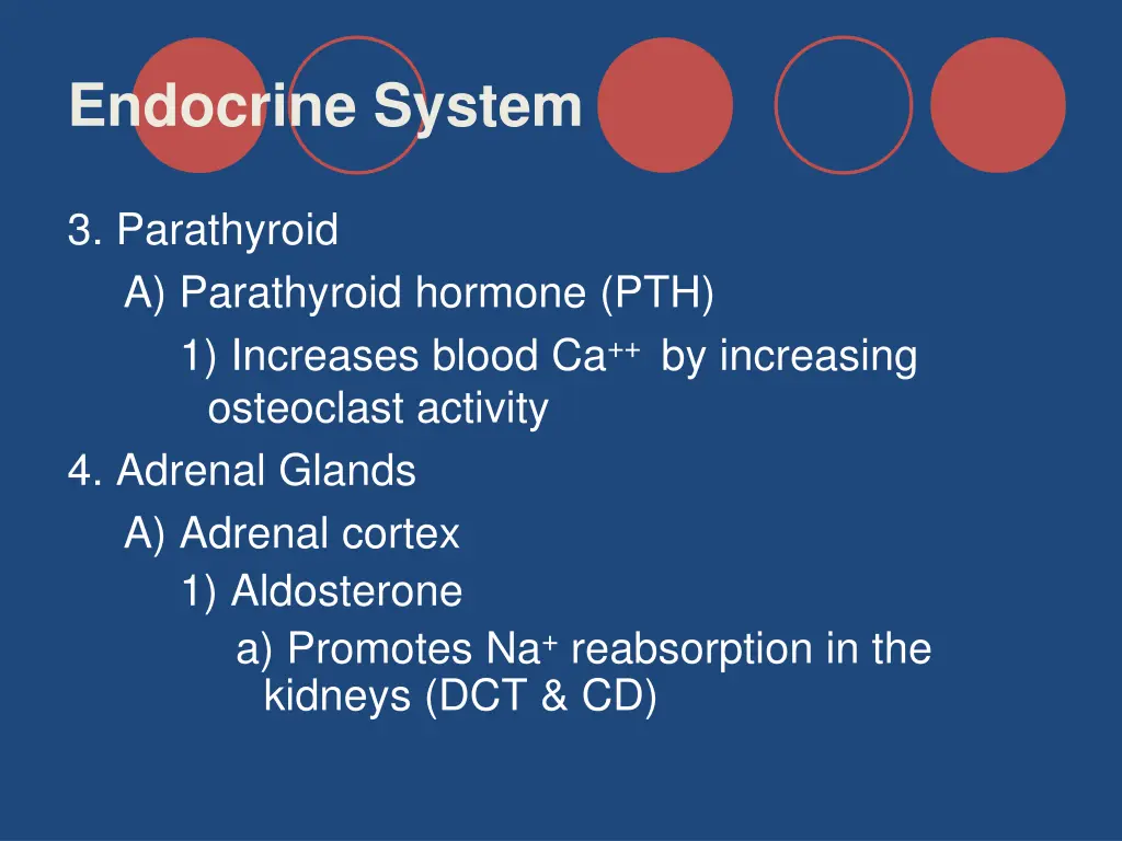 endocrine system 25