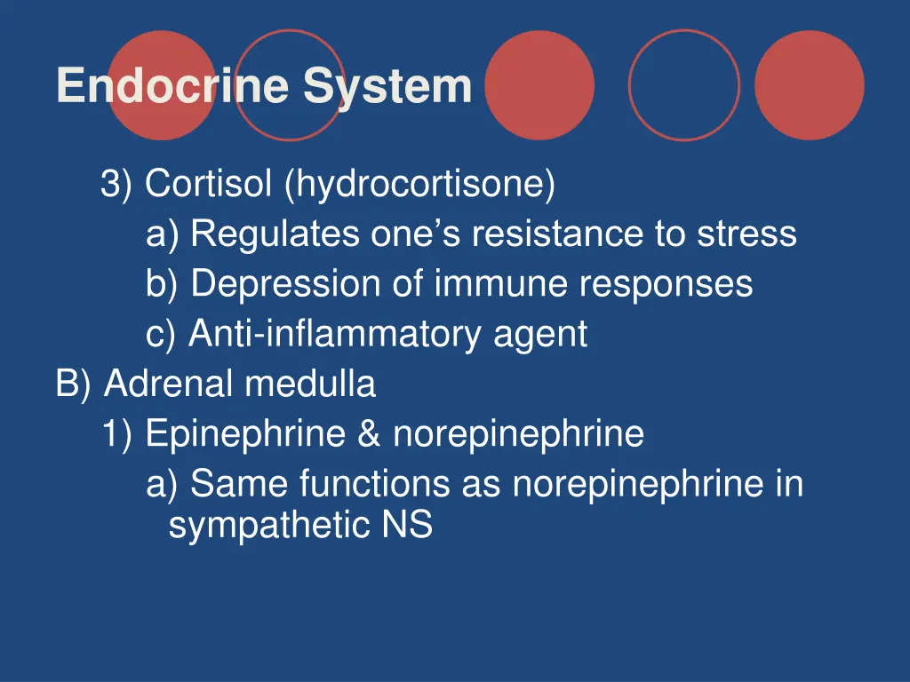 endocrine system 27