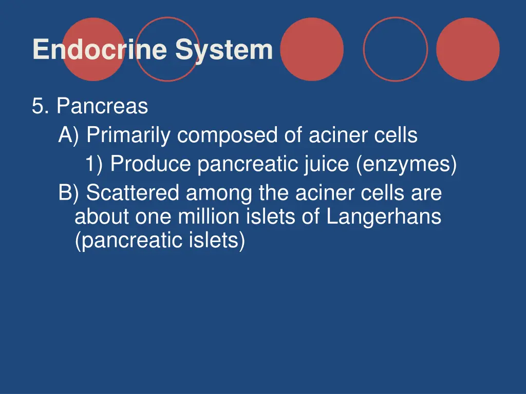 endocrine system 28