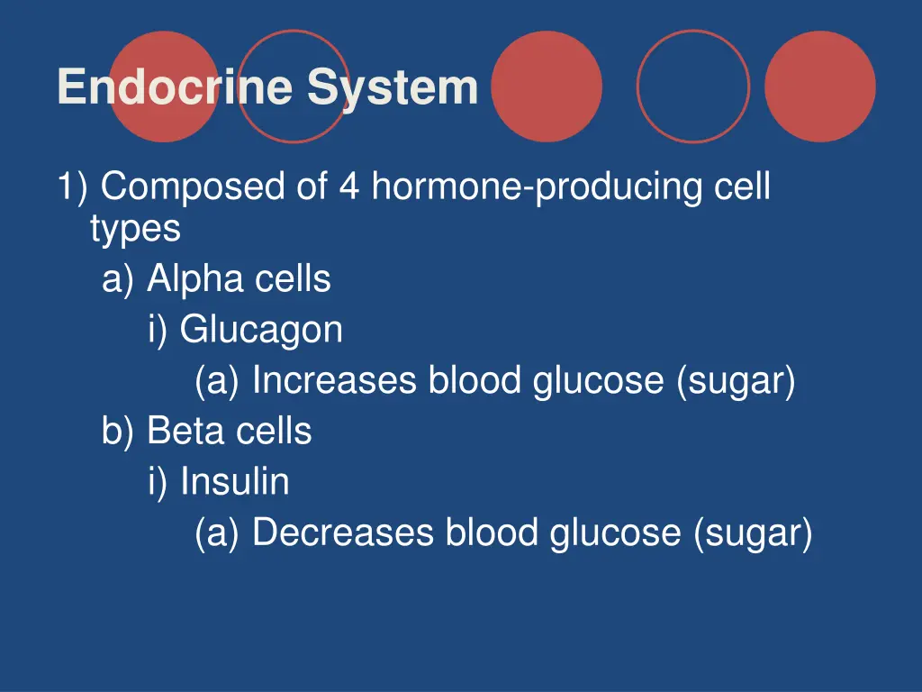 endocrine system 29