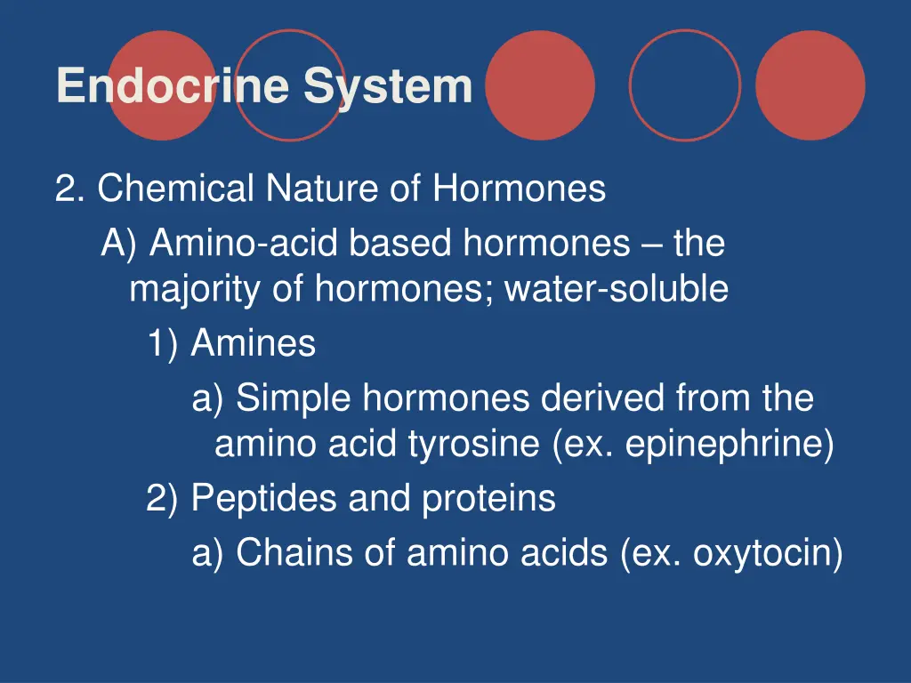 endocrine system 3