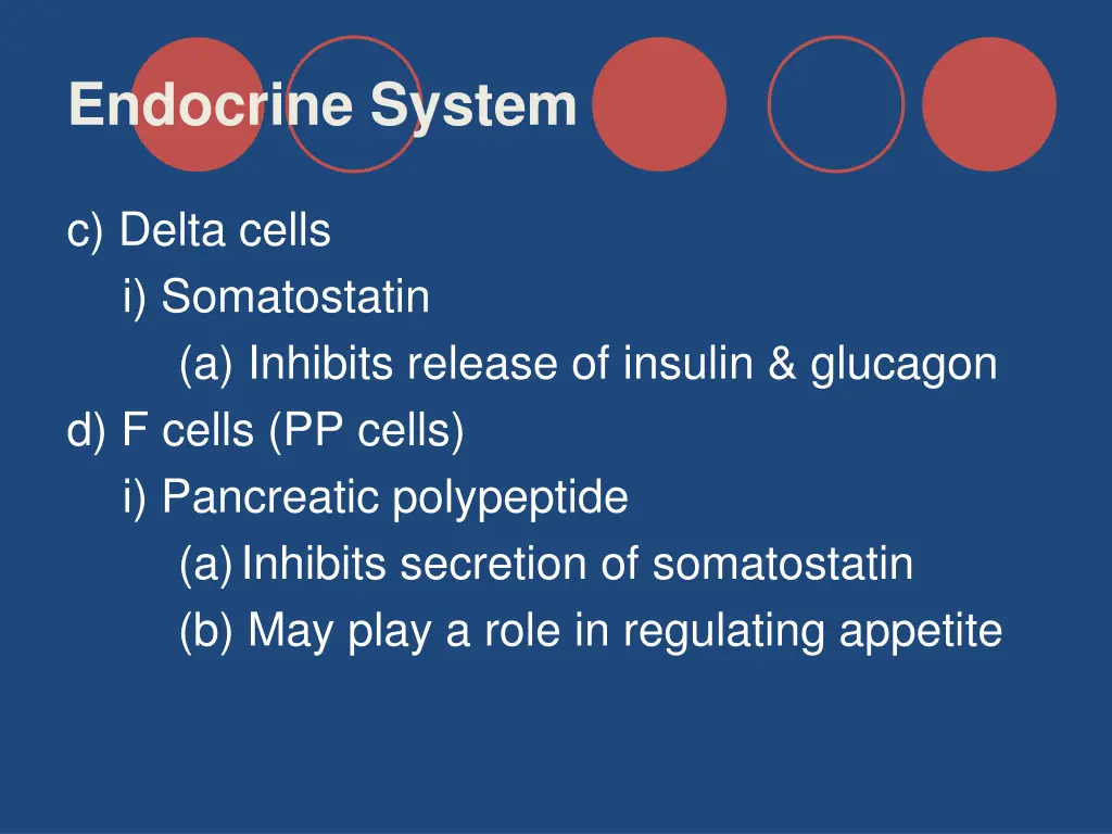endocrine system 30