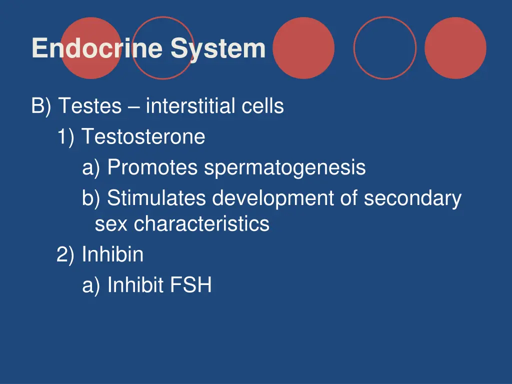 endocrine system 33