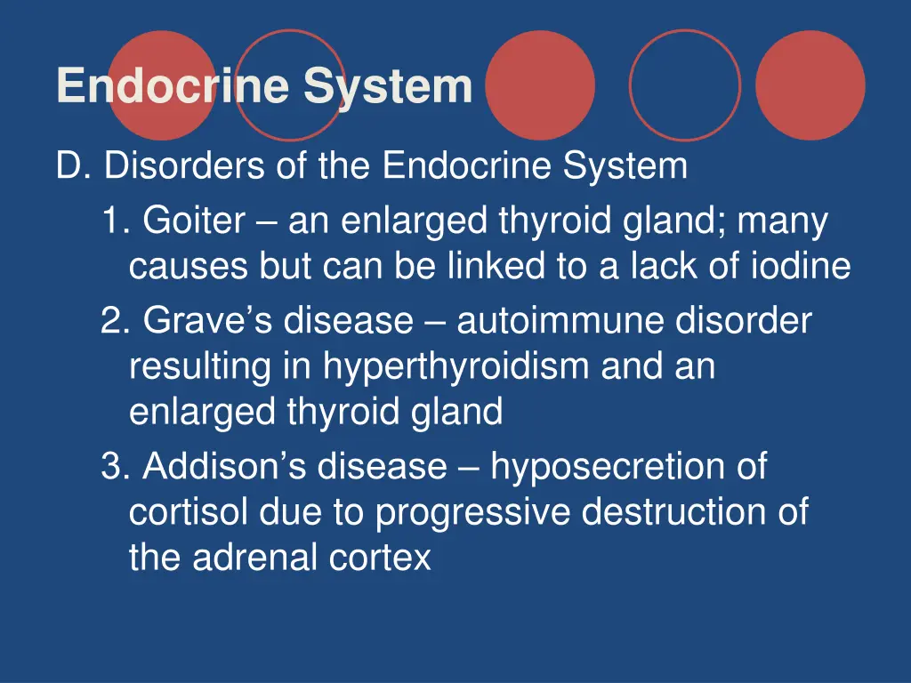 endocrine system 38