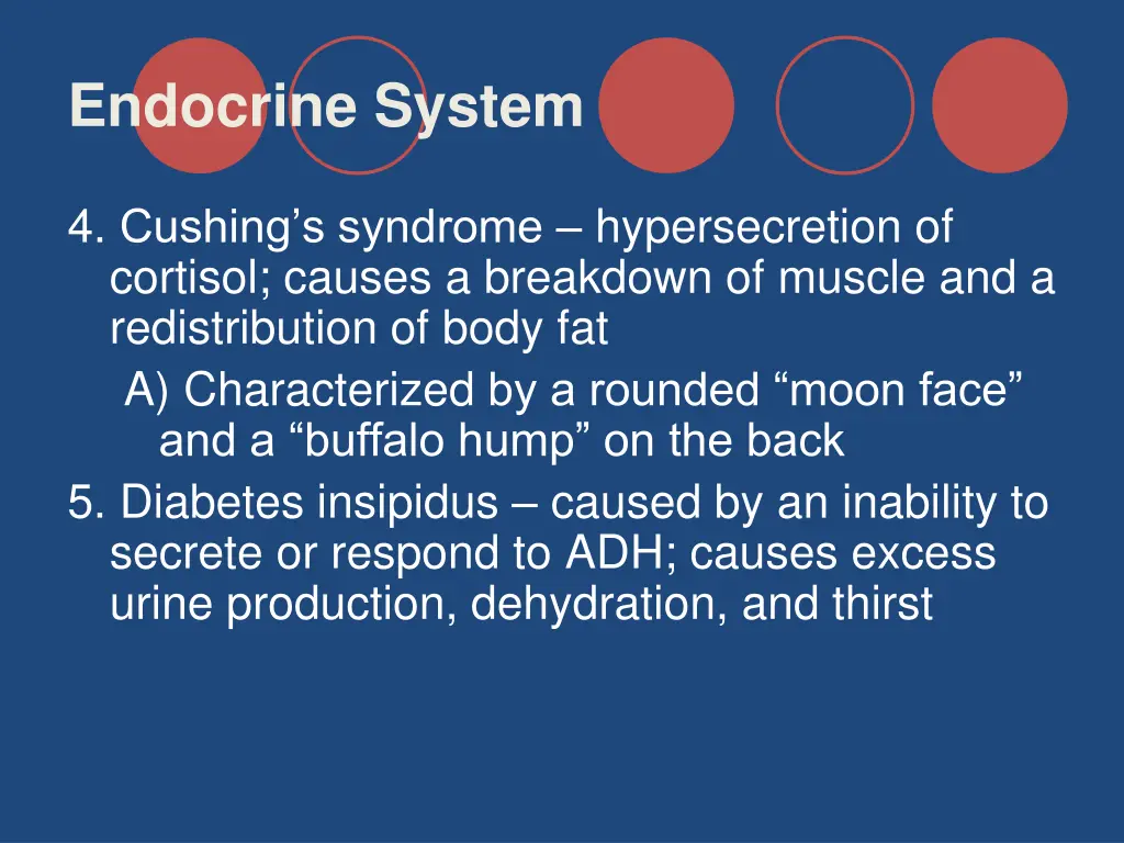 endocrine system 39