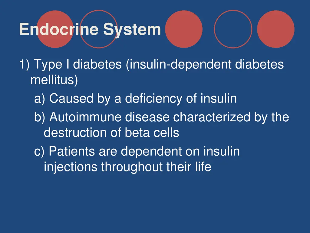 endocrine system 41