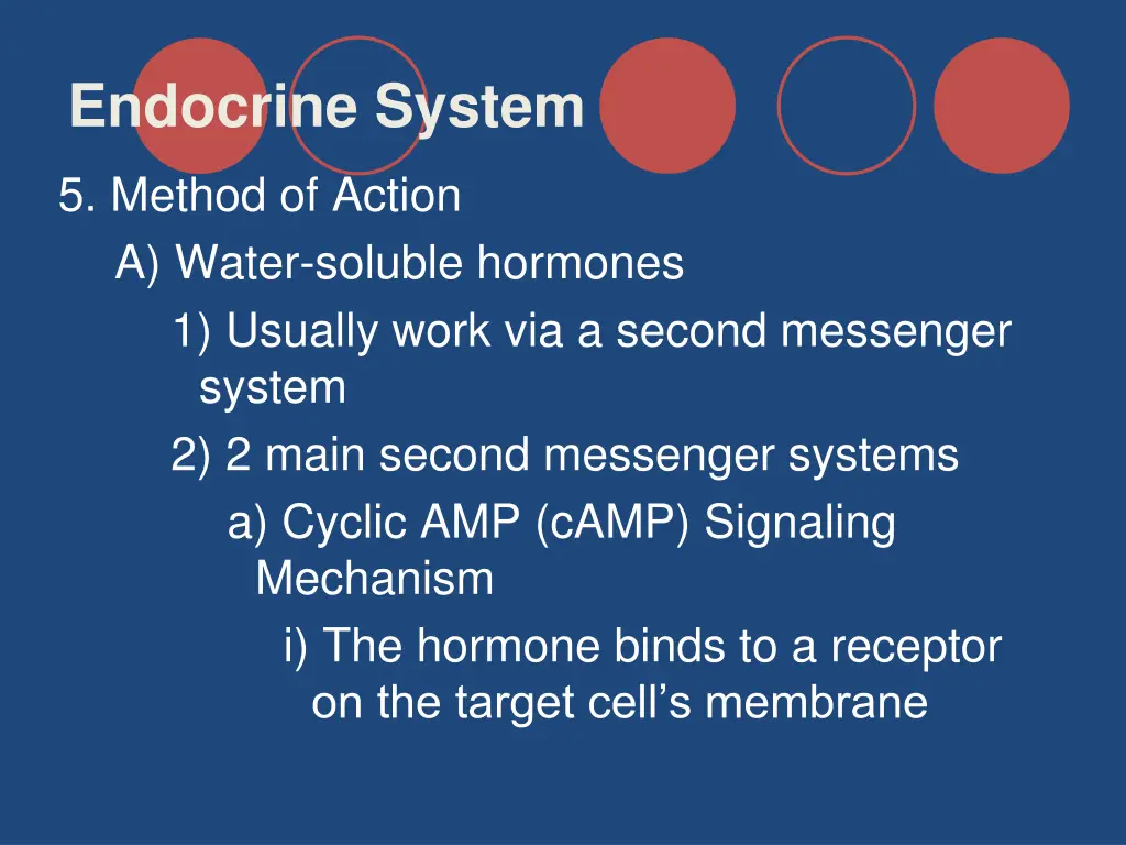 endocrine system 8