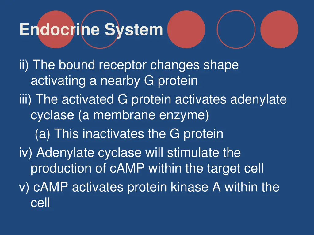 endocrine system 9