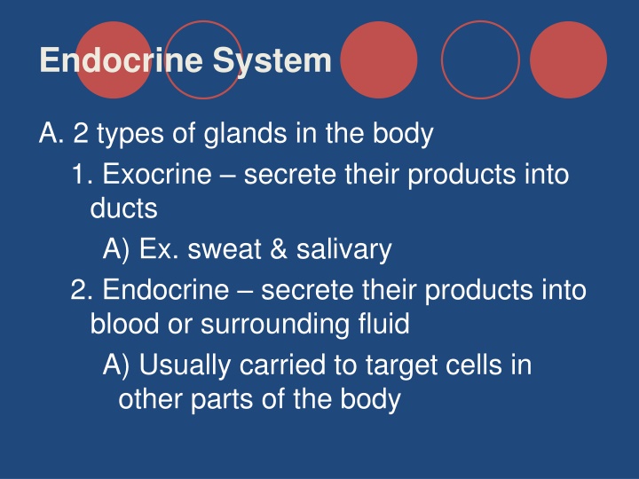 endocrine system