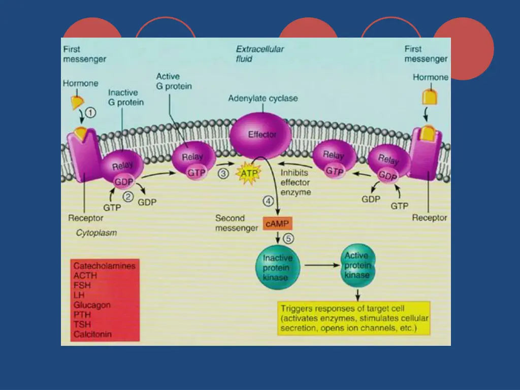 slide12