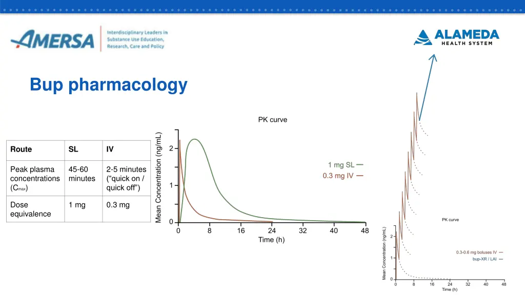 bup pharmacology