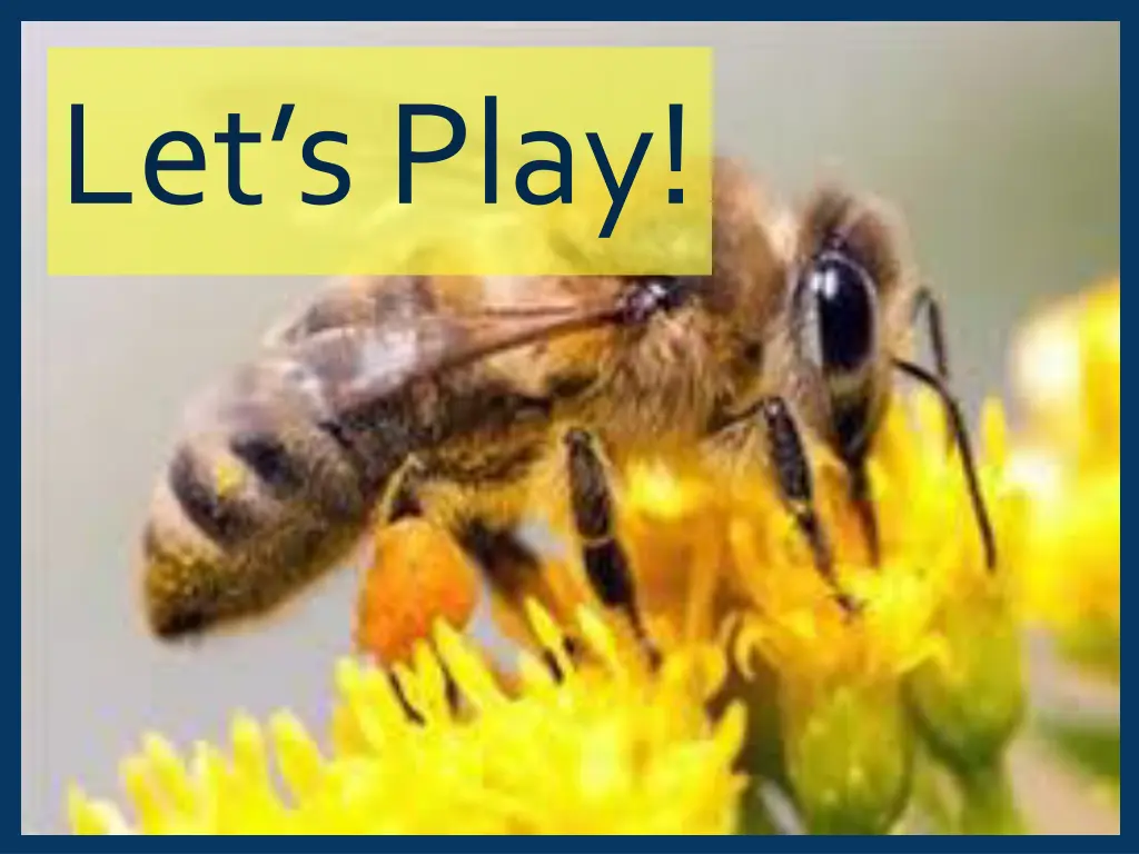 let s play