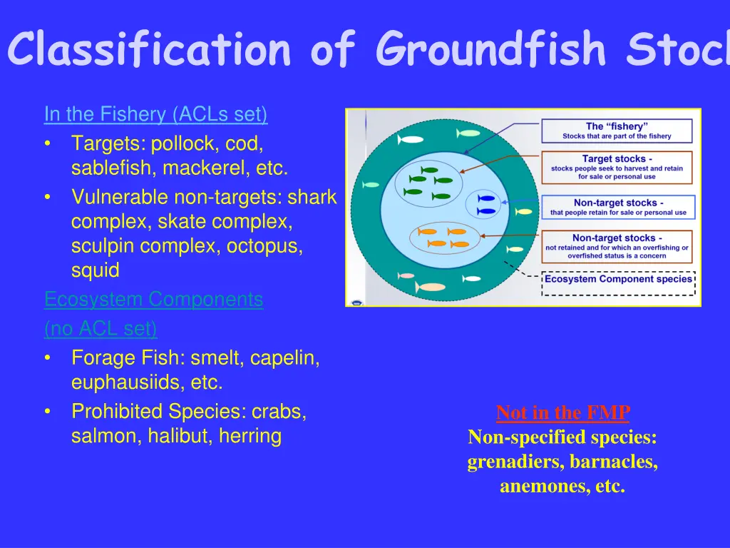 classification of groundfish stocks