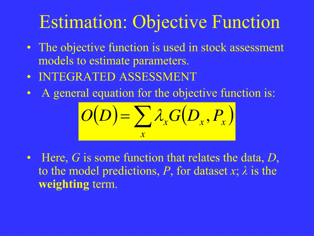 estimation objective function
