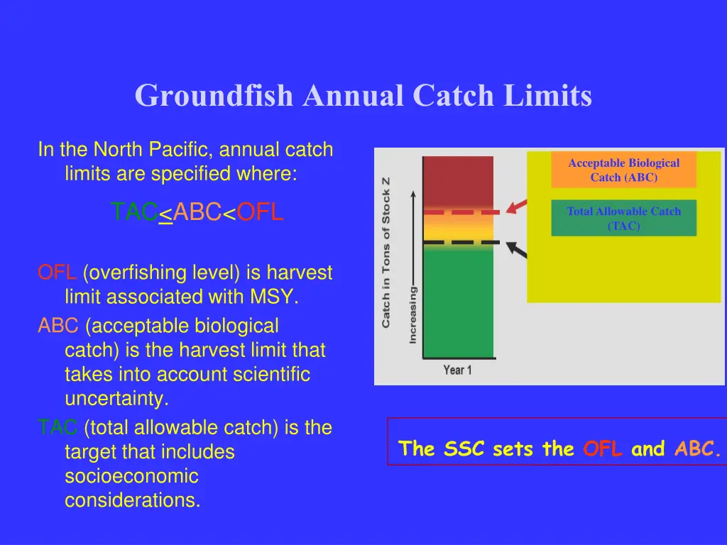 groundfish annual catch limits