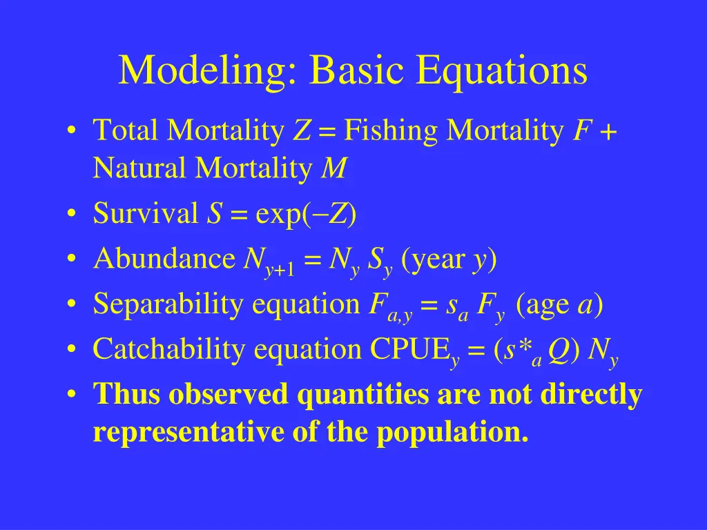 modeling basic equations