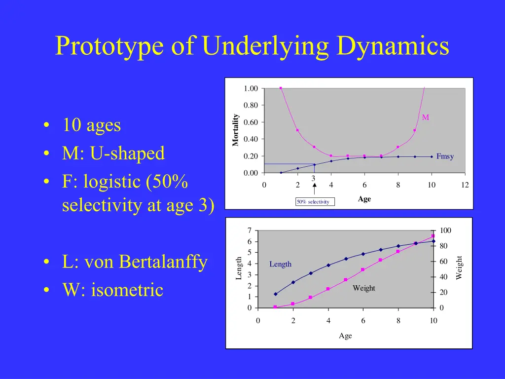 prototype of underlying dynamics