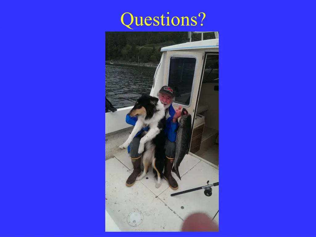 questions