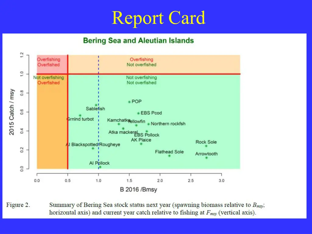 report card