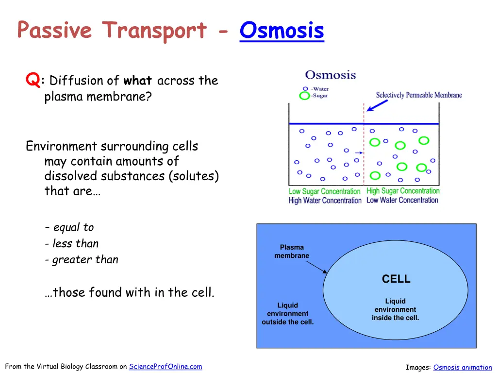 passive transport osmosis