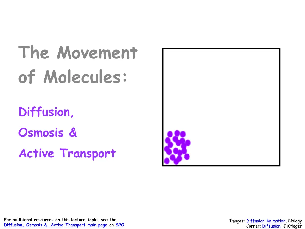 the movement of molecules