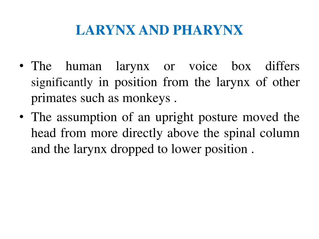 larynx and pharynx