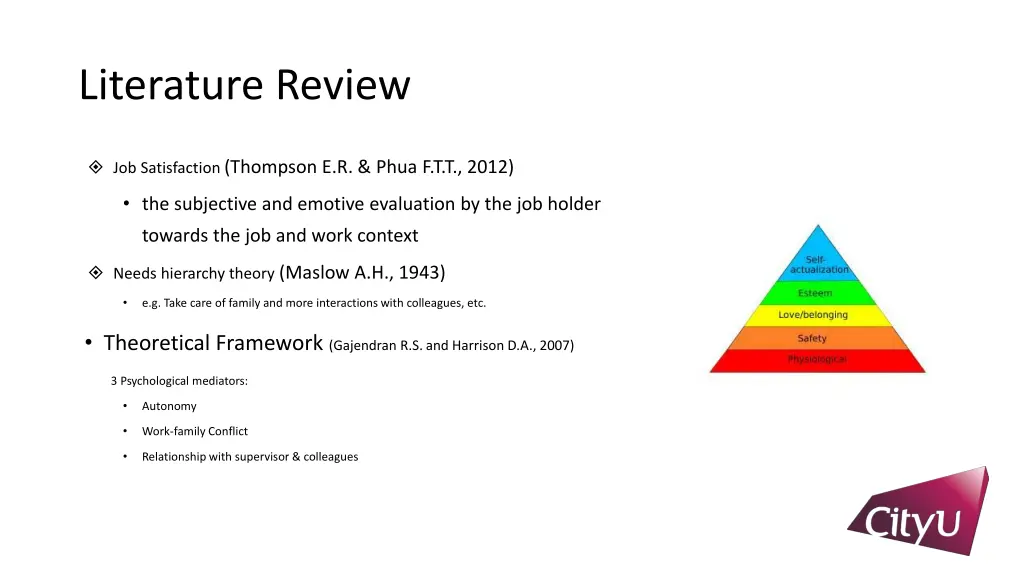 literature review